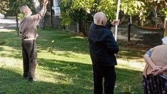 Huzurevinde hasat şenliği