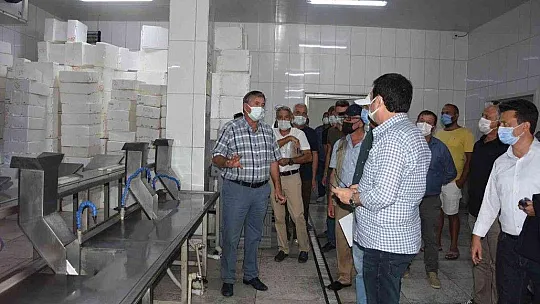 İl Müdürü Saylak, 'Ülkenin en önemli su ürünleri yetiştiriciliği potansiyeline sahip il Muğla'