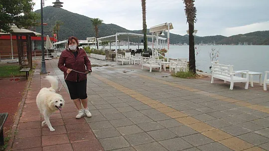 Yeni hayat başladı