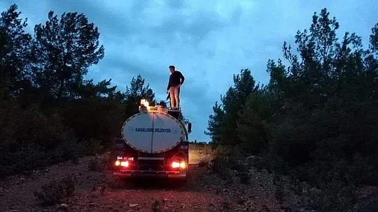Kavaklıdere'de Orman Yangını