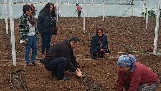 Tezcan 'Çiftçimizin beli büküldü'