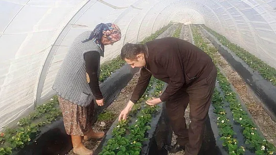 'Üreticimizi Küstürmeyin'