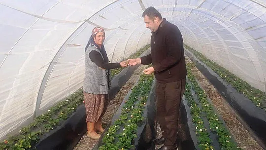 'Üreticimizi Küstürmeyin'