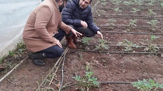 Tezcan ''Sorunların takipçisi olacağız''