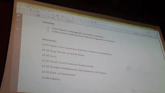 Yönerge oylandı