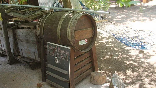 BU KAMPTA SANAT VE DOĞA İÇ İÇE