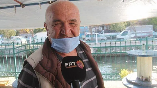 Pandemi döneminde kuşlara ekmek atarak stres atıyorlar