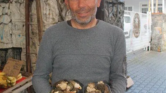 Uzun Zamandır Bekleniyordu