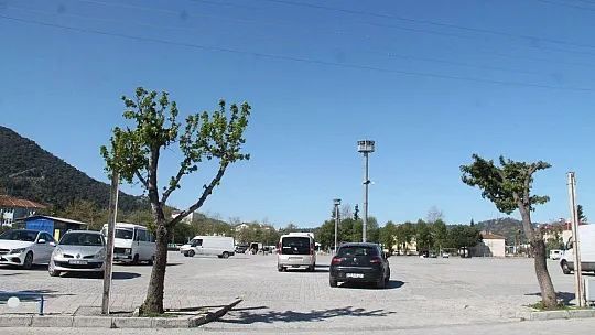 Aşırı Rüzgar Pazarı Etkiledi 