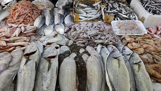 FETHİYELİ BALIKÇILAR SEZONDAN UMUTLU