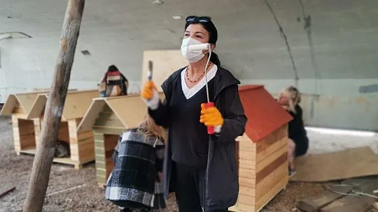 Sokak hayvanları için 30 kulübe daha...