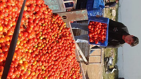 FETHİYE'DEN 34 BİN 437 TON İHRACAT YAPILDI