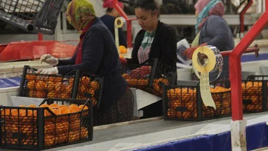 Akgün 'Üretim olmazsa olmazımız' 
