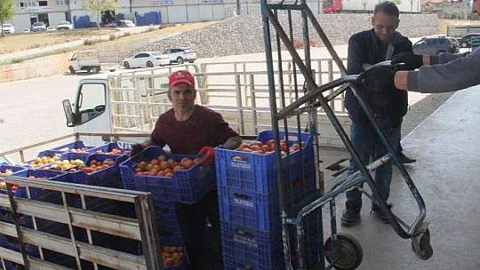 Fethiye'den 33 bin 221 ton ihracat gerçekleşti