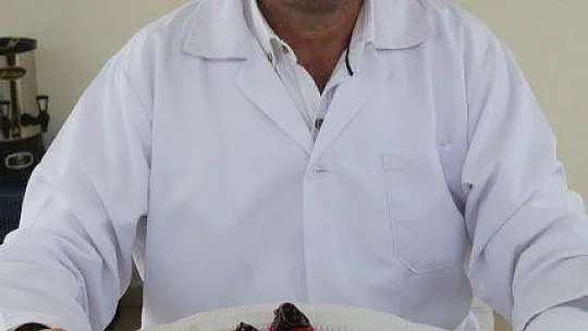 Vali Hanım Çileği 20 Milyon TL Girdi Sağlayacak