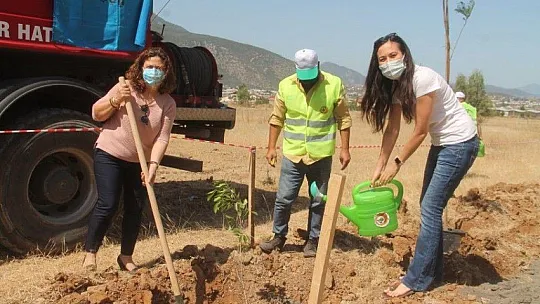 Fethiye İşletme Fakültesi'nin çehresi güzelleşiyor