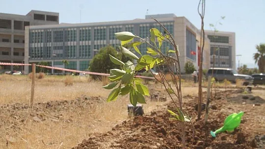 Fethiye İşletme Fakültesi'nin çehresi güzelleşiyor
