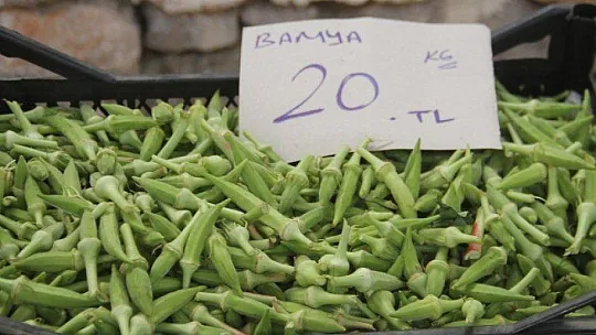 Ürün Çeşitliliği Artınca Fiyatlar Düştü 