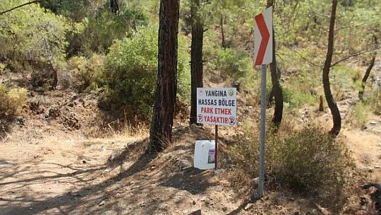 Yarımada emin ellerde