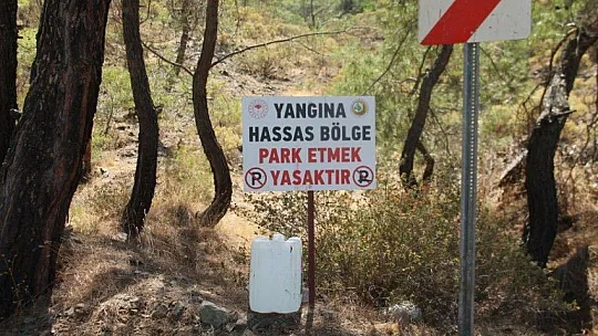 Yarımada emin ellerde