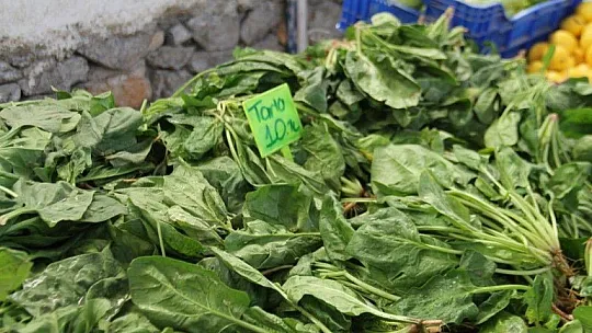 Pazarda rekor bamyada