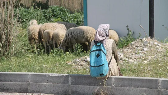 Fethiye ve Seydikemer'de Çiftçiler Üretip Satabildi