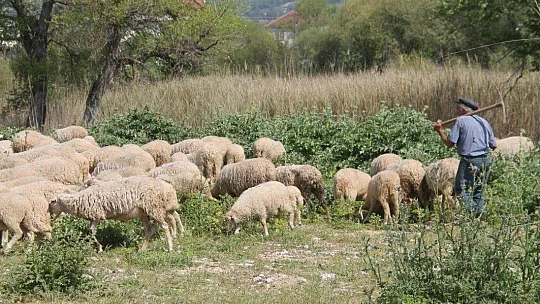Fethiye ve Seydikemer'de Çiftçiler Üretip Satabildi