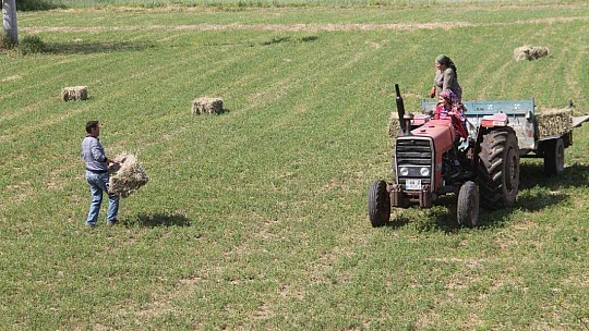 Fethiye ve Seydikemer'de Çiftçiler Üretip Satabildi