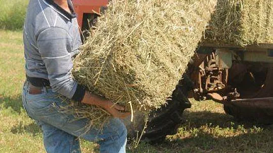 Fethiye ve Seydikemer'de Çiftçiler Üretip Satabildi