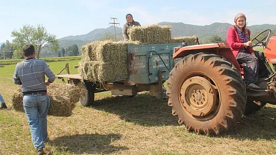Fethiye ve Seydikemer'de Çiftçiler Üretip Satabildi