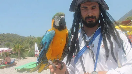 MAHMUT, ÖLÜDENİZ PLAJI'NIN MASKOTU OLDU