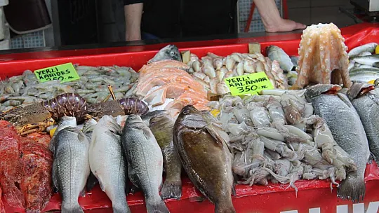Balık fiyatları cep yakıyor
