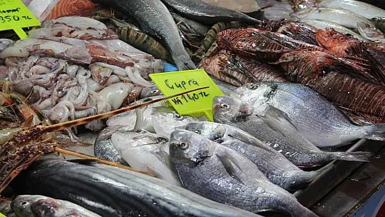Balık fiyatları cep yakıyor