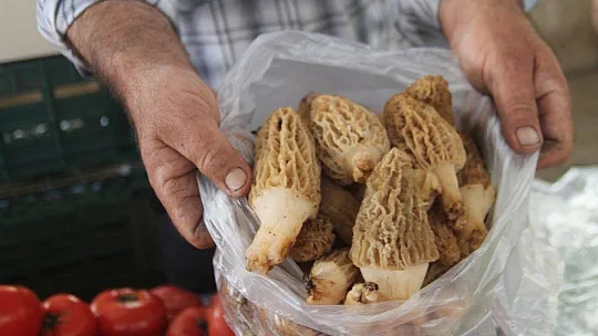 Salı Pazarı'nda normale dönüldü