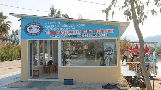 Halka Taze Ve Günlük Balık Sunuyorlar