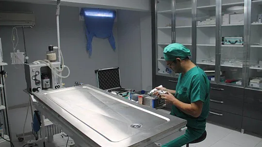 Ege Ve Akdeniz Bölgelerinde İlk Ve Tek