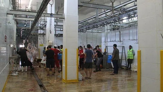 Kurban kesim yerlerinde yoğunluk yaşandı