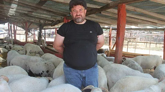 KURBANLIKLARIN ÇOĞU BAYRAMIN 1. GÜNÜ SATILDI