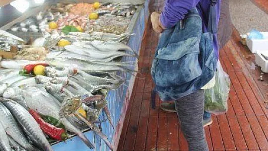 Balık bollaştı, fiyatları düştü