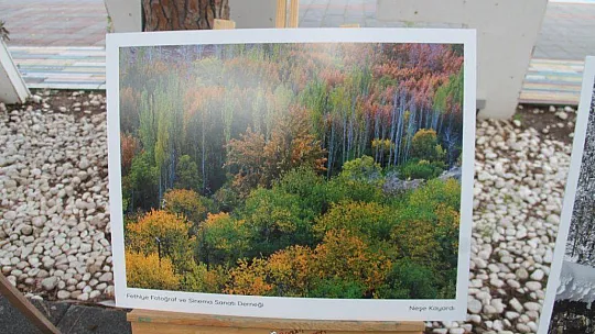 Sürdürülebilir Yaşam Film Günleri