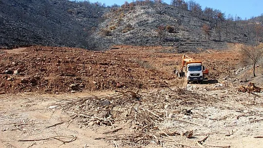 İnşaat yapılıyor denilen yanan koyda, lavanta bahçesi yapıldığı ortaya çıktı