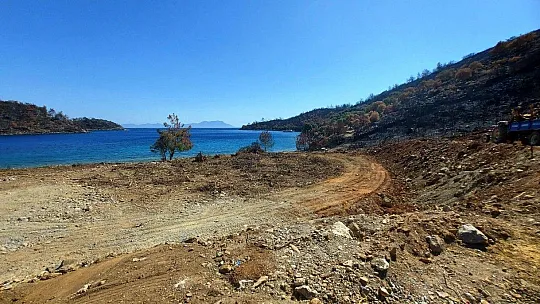 İnşaat yapılıyor denilen yanan koyda, lavanta bahçesi yapıldığı ortaya çıktı