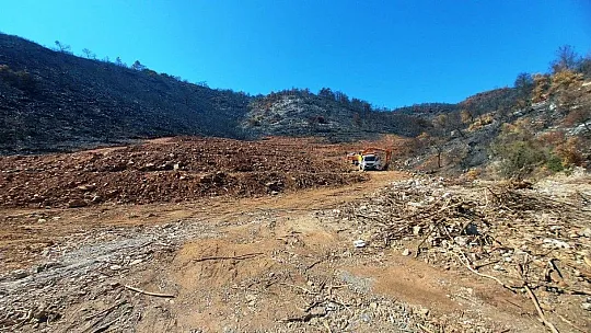 İnşaat yapılıyor denilen yanan koyda, lavanta bahçesi yapıldığı ortaya çıktı