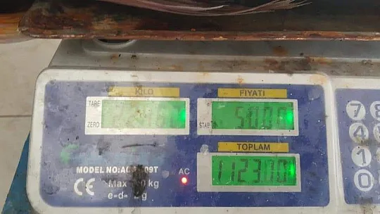 İnsan boyundaki levrek görenleri şaşırttı