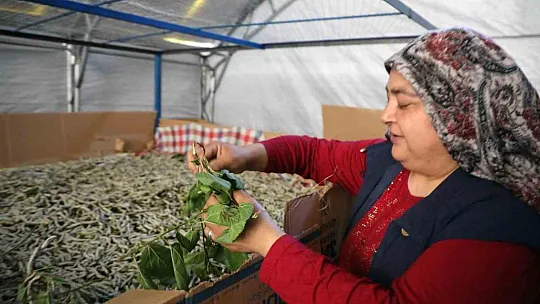 İpekböcekçiliği üretiminde yüzler gülüyor