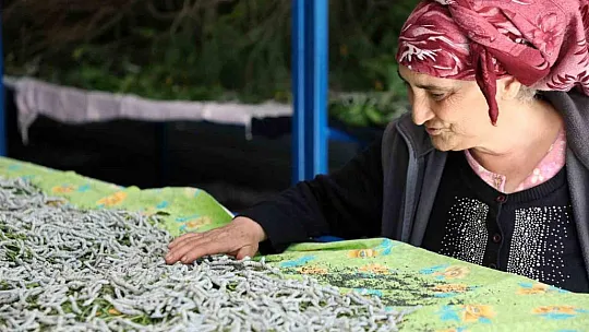 İpekböcekçiliği üretiminde yüzler gülüyor