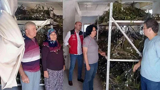 İpekböcekçiliğine destek arttı, üreticinin yüzü güldü