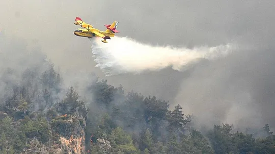 İspanyol yangın söndürme uçakları Köyceğiz'e müdahale ediyor