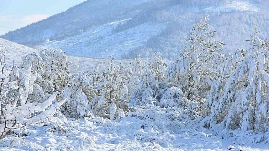 İstanbul'a çile olan kar, Bodrum'a neşe oldu
