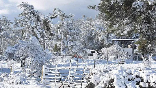 İstanbul'a çile olan kar, Bodrum'a neşe oldu